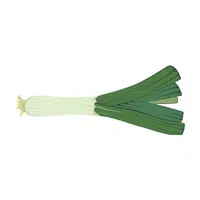 Leek