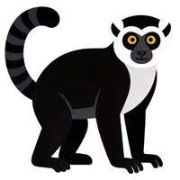 Lemur | A to Z Animals Name