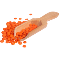 Lentils | A to Z Vegetables Names