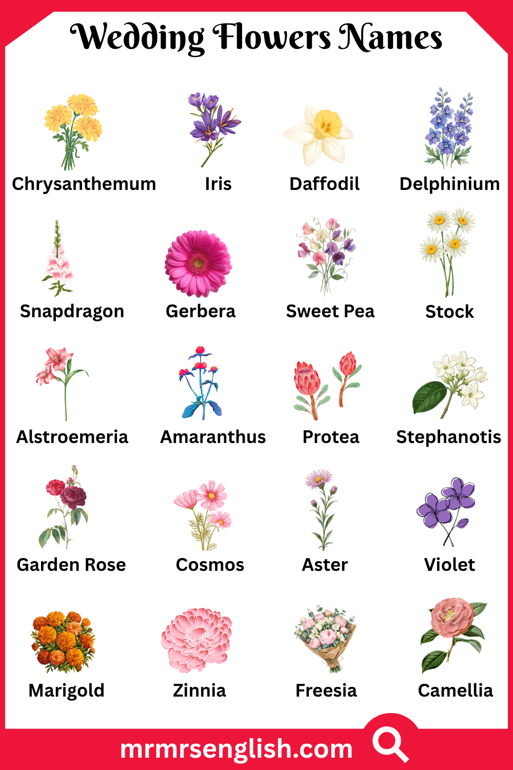 List of Wedding Flowers Names with Pictures