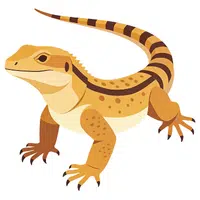 Lizard | A to Z Animals Name