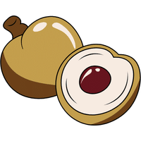 Longan | A to Z Fruits Name