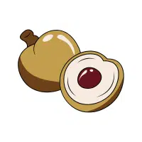 Longan