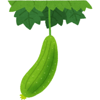 Luffa | A to Z Vegetables Names