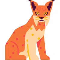Lynx | A to Z Animals Name