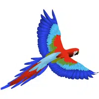 Macaw | A to Z Animals Name