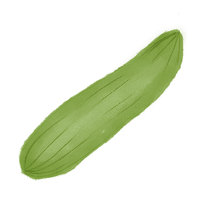 Marrow | A to Z Vegetables Names
