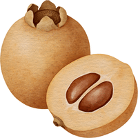 Medlar | A to Z Fruits Name