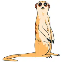 Meerkat | A to Z Animals Name