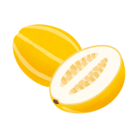 Melon