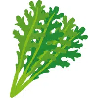 Mizuna | A to Z Vegetables Names