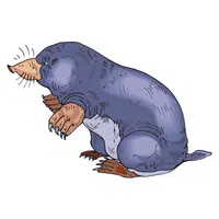Mole | A to Z Animals Name