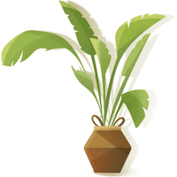Moringa | A to Z Vegetables Names