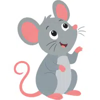 Mouse | A to Z Animals Name