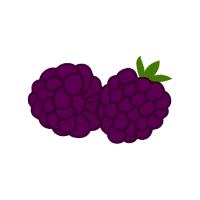 Mulberry