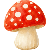 Mushroom | A to Z Vegetables Names