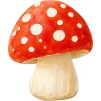 Mushroom | A to Z Vegetables Names