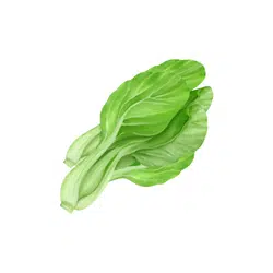 Mustard Greens