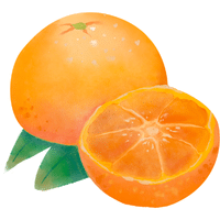 Nagami Kumquat | A to Z Fruits Name