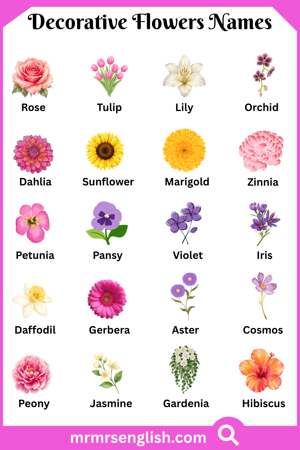 Names of Decorative Flowers with Pictures
