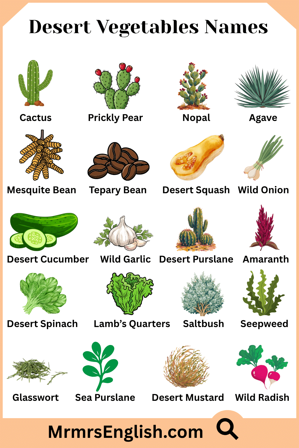 Names of Desert Vegetables in English with Pictures
