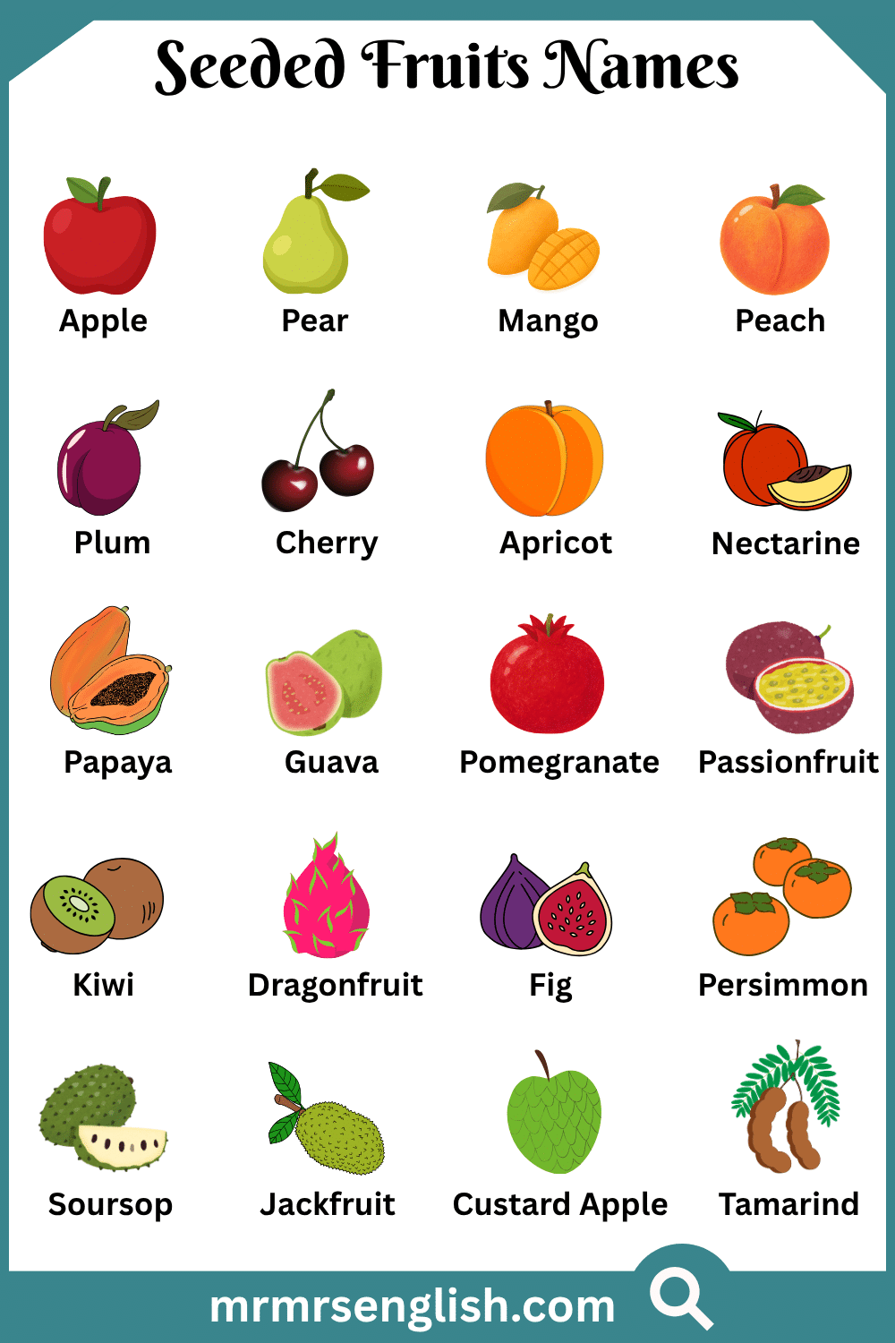 Names of Seeded Fruits with Pictures