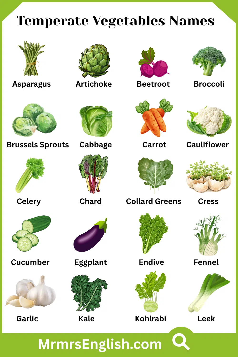 Names of Temperate Vegetables with Pictures