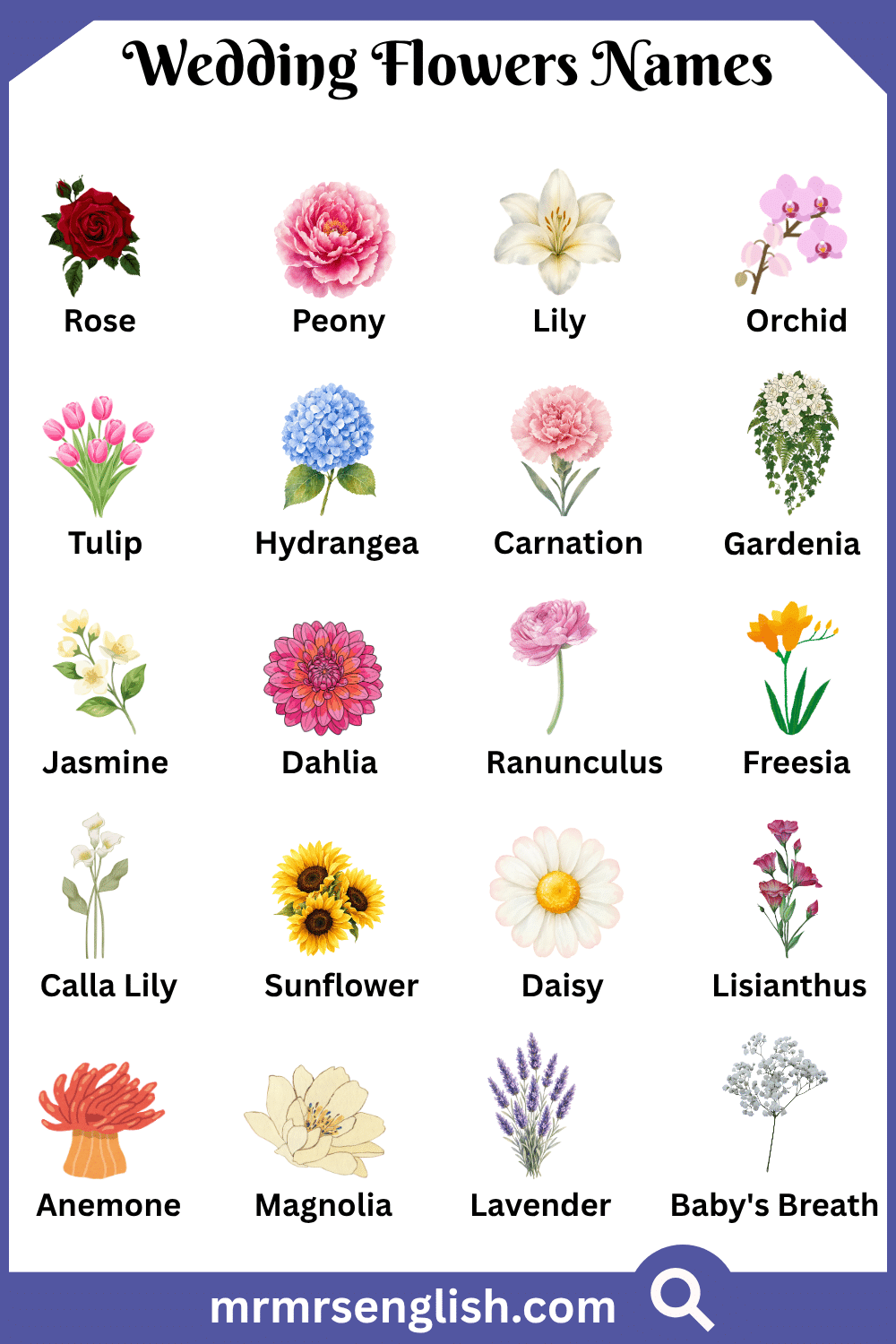 Names of Wedding Flowers with Pictures