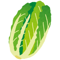 Napa Cabbage | A to Z Vegetables Names