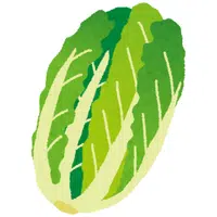 Napa Cabbage | A to Z Vegetables Names