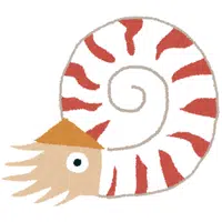 Nautilus | A to Z Animals Name
