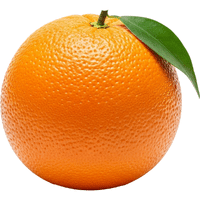Navel Orange | A to Z Fruits Name