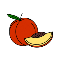 Nectarine