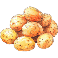 New Potato | A to Z Vegetables Names