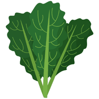 Nigerian Spinach | A to Z Vegetables Names