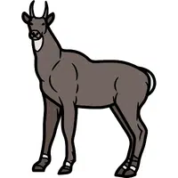 Nilgai | A to Z Animals Name