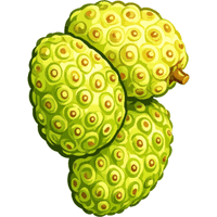 Noni | A to Z Fruits Name