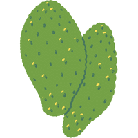 Nopal | A to Z Vegetables Names