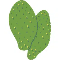 Nopal | A to Z Vegetables Names
