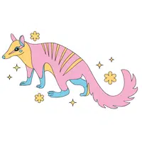 Numbat | A to Z Animals Name