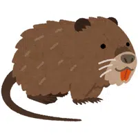 Nutria | A to Z Animals Name
