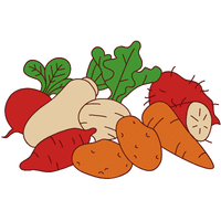 Oca | A to Z Vegetables Names