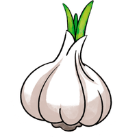 Onion | A to Z Vegetables Names