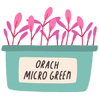 Orach | A to Z Vegetables Names