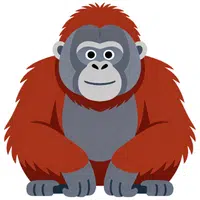 Orangutan | A to Z Animals Name