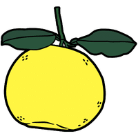Oroblanco | A to Z Fruits Name