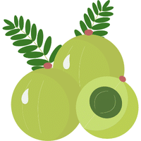 Otaheite Gooseberry | A to Z Fruits Name