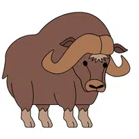 Ox | A to Z Animals Name
