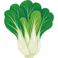 Pak Choi | A to Z Vegetables Names