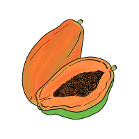 Papaya | Sugar Free Fruits Names